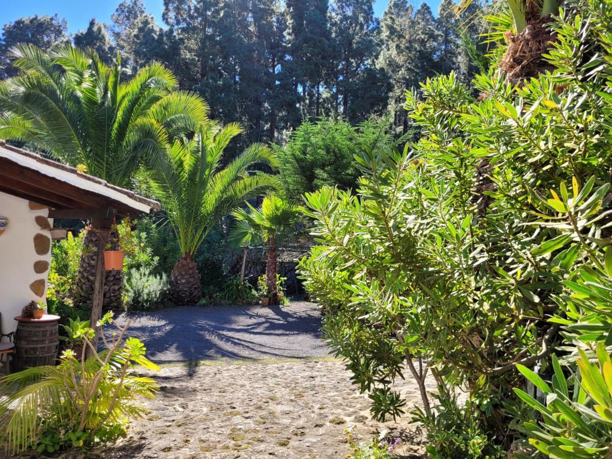 Finca Llano De La Cebolla Icod De Los Vinos Zewnętrze zdjęcie