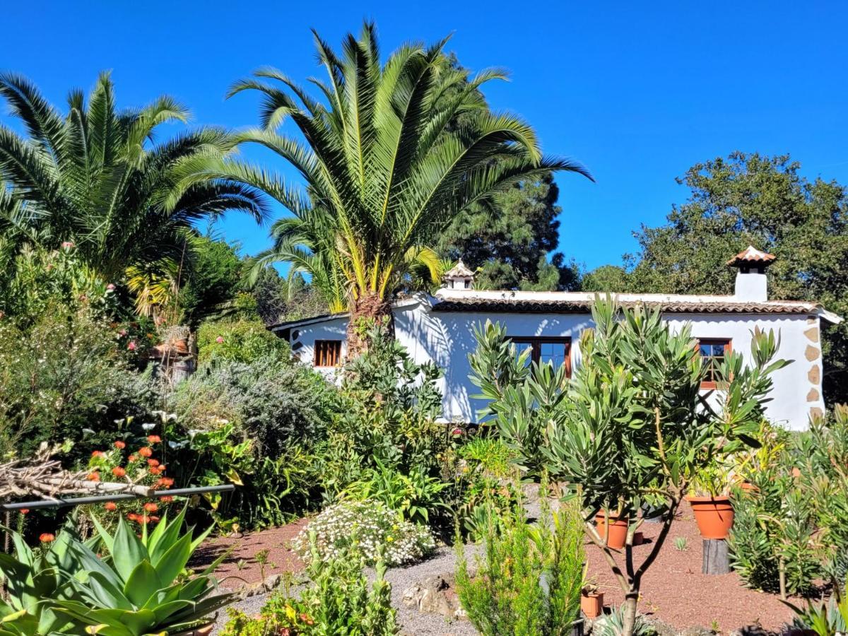 Finca Llano De La Cebolla Icod De Los Vinos Zewnętrze zdjęcie