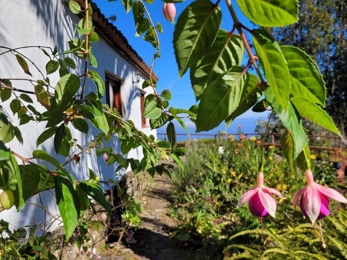 Finca Llano De La Cebolla Icod De Los Vinos Zewnętrze zdjęcie