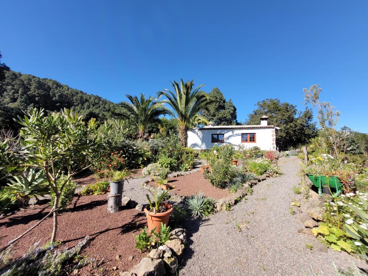 Finca Llano De La Cebolla Icod De Los Vinos Zewnętrze zdjęcie