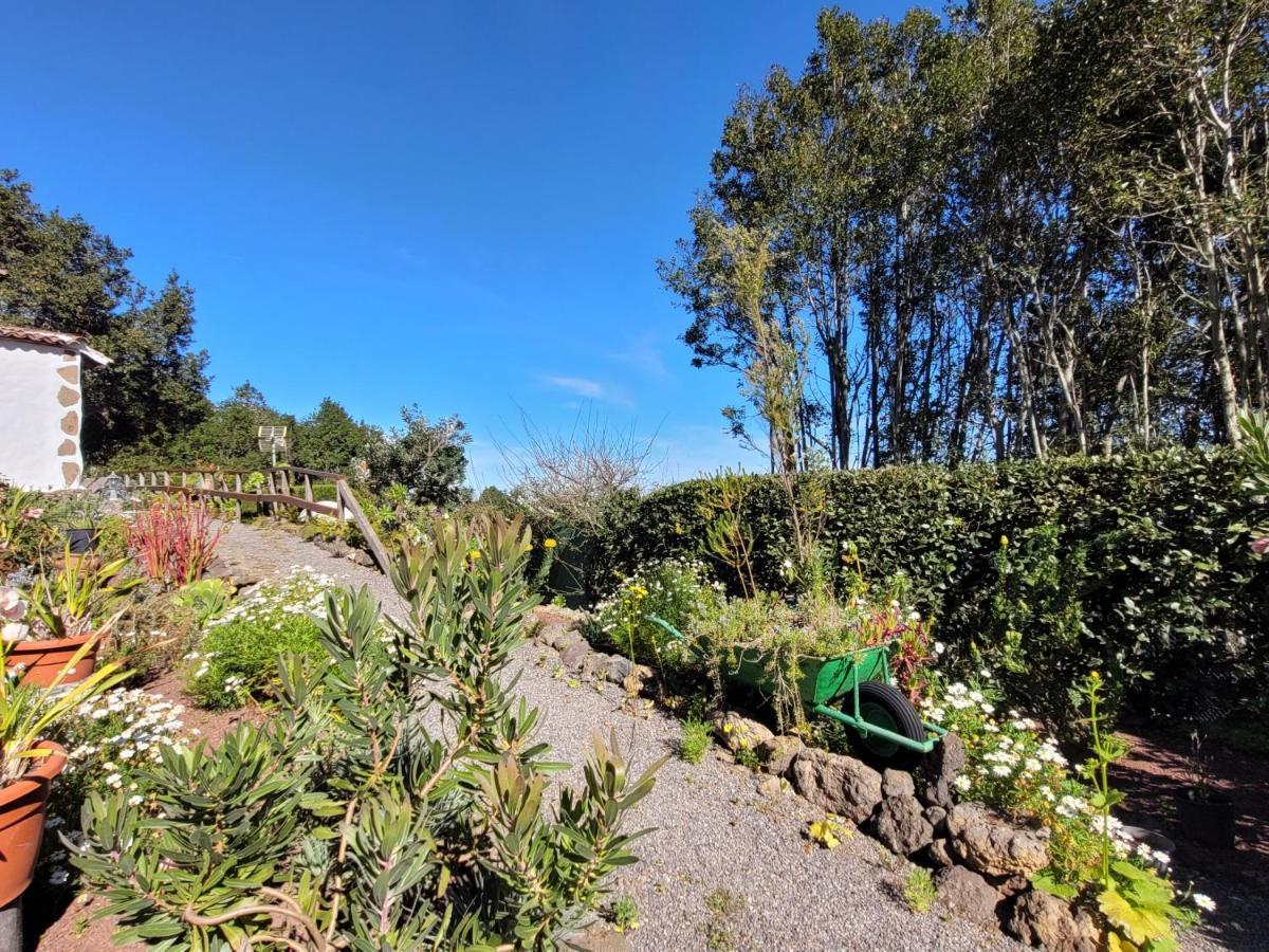 Finca Llano De La Cebolla Icod De Los Vinos Zewnętrze zdjęcie