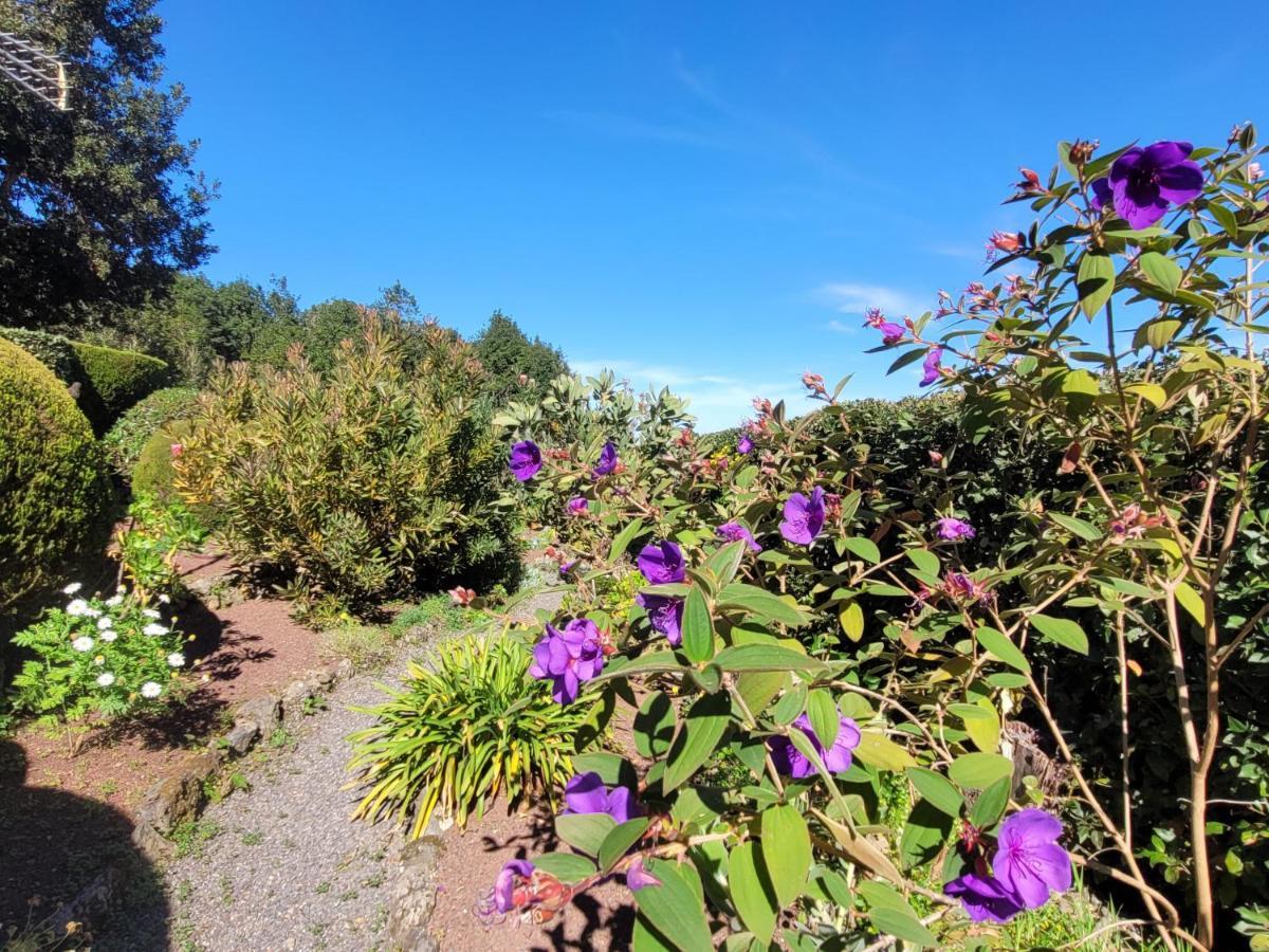 Finca Llano De La Cebolla Icod De Los Vinos Zewnętrze zdjęcie